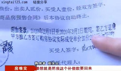 邢台房地产爆料最新消息,最新爆料揭示市场走向